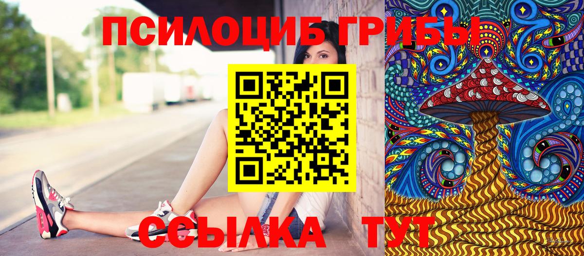 Псилоцибиновые грибы Cubensis Родники